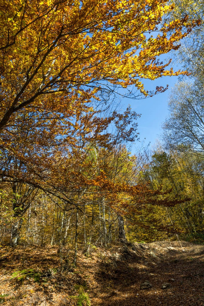 Autumn Landscape with yellow near Devil town in Radan Mountain - 写真・画像