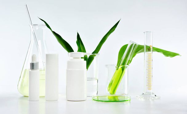 Kozmetikai palack konténerek zöld gyógynövény levelek és tudományos üvegáruk, Üres címke csomag márkanév makett, Kutatás és fejleszteni természetes organikus szépség bőrápoló termék koncepció. - Fotó, kép