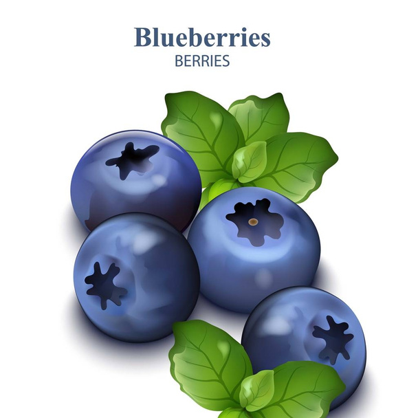 Blueberries isolated on white backgrounds Vector realistic - Vektör, Görsel