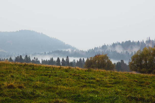 Góry krajobraz, mgła - Zdjęcie, obraz