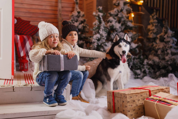celebrating Christmas with their dog at home. children play with dog with decorated Christmas tree in the background. - Zdjęcie, obraz
