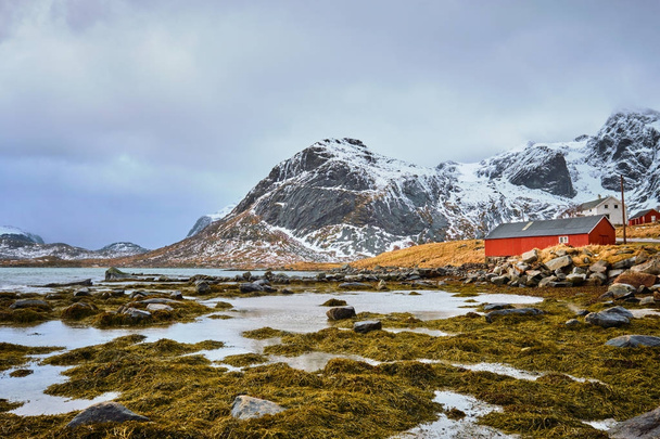 Rorbu czerwony dom i fiord w Norwegii - Zdjęcie, obraz