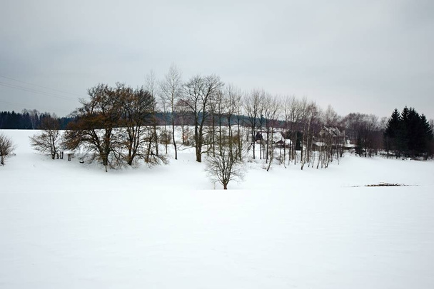 Winter snowy landscape - Foto, Imagen