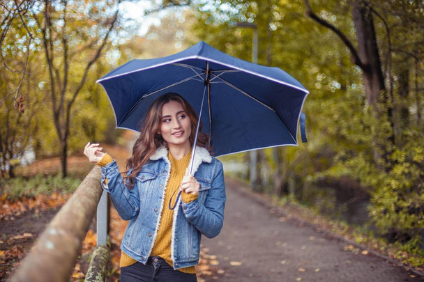 Молода красива жінка йде вздовж осіннього парку з парасолькою в руках. Осінній портрет молодої щасливої жінки. А
 - Фото, зображення