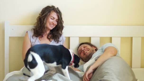 Young adult couple in bed with their dog - Séquence, vidéo