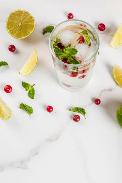 Fall and winter refreshment drink, cranberry mojito cocktail wit - Photo, Image