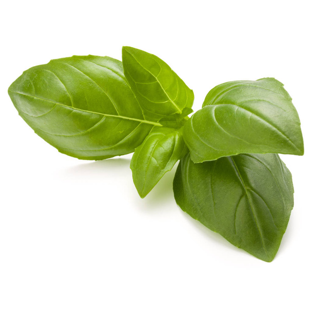 Sweet basil herb leaves  - Foto, immagini
