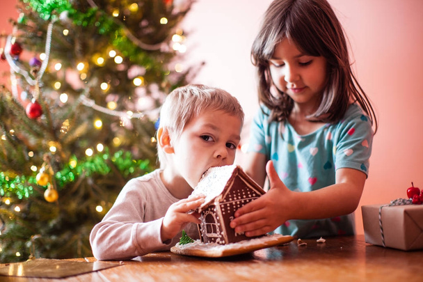 Little boy with gingerbread house - Photo, image