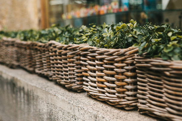 Street decor. Series of beautiful wicker baskets with outdoor plants - Photo, Image