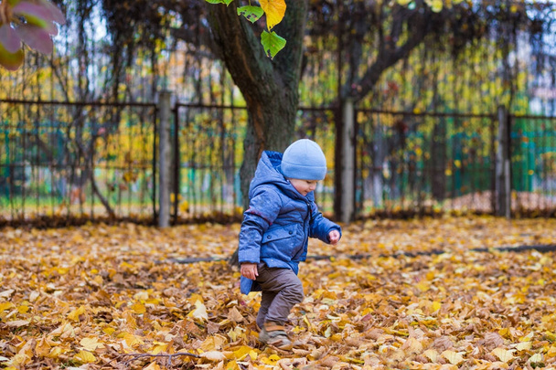 Little child boy 1 years old walks on fallen leaves - Foto, Imagem
