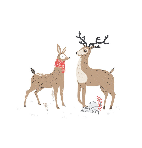 Two beautiful deers. Stylish vector illustration, scandinavian style. - Vector, Image