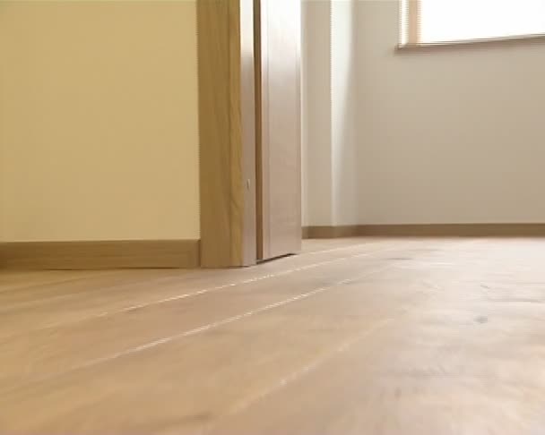 新しくインストールされた生きている家の床の詳細。床板の堅材. - 映像、動画