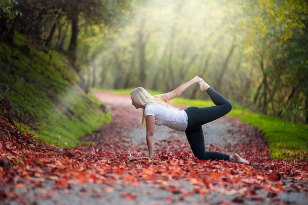 Yoga in nature - Фото, изображение