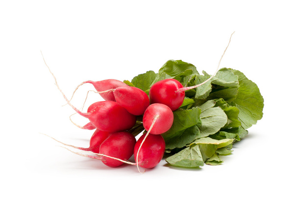 Radish with green leaves on a white background - Photo, Image