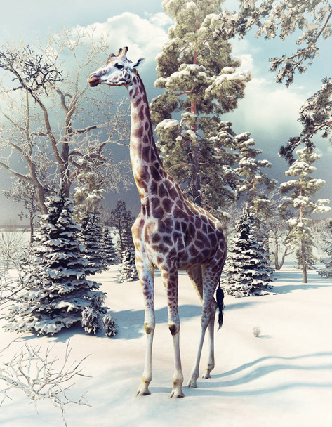 жираф в зимовому лісі
 - Фото, зображення
