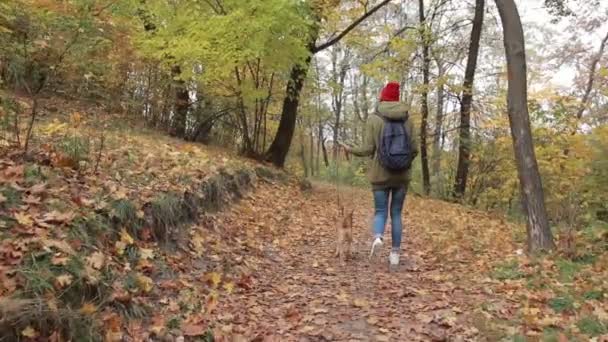 trendiges Hipster-Mädchen, das im Herbstpark mit dem Hund spazieren geht - Filmmaterial, Video