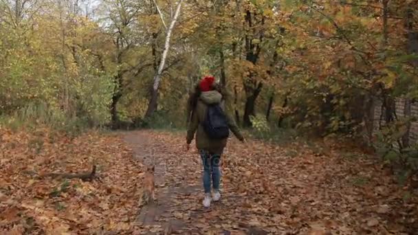 Joyeuse fille avec chien courant dans le parc d'automne
 - Séquence, vidéo