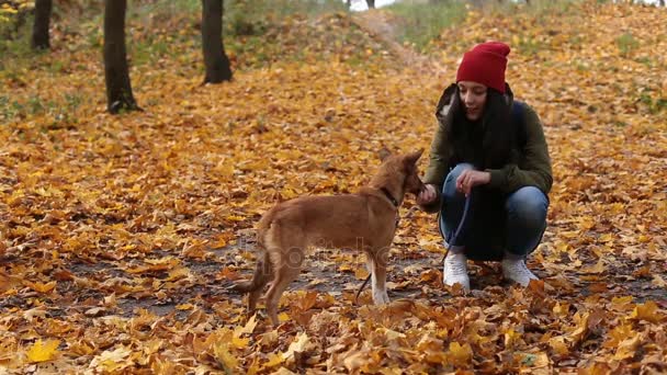 Νεαρή γυναίκα διατροφή χαριτωμένο σκυλί στο πάρκο φθινόπωρο - Πλάνα, βίντεο