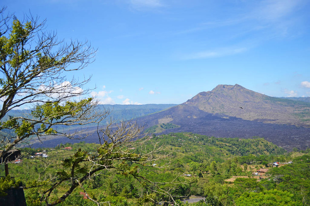 Ağaç ve tropikal volkan Panoraması. - Fotoğraf, Görsel