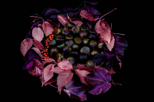 Composition of chestnuts placed in the center and foliage placed around the chestnuts - Foto, afbeelding