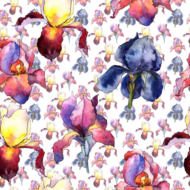 Wildflower colorful iris flower pattern in a watercolor style. - Fotografie, Obrázek