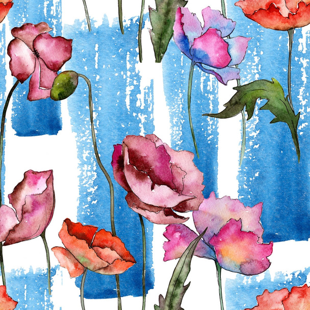 Wildflower poppy flower pattern in a watercolor style. - Фото, изображение