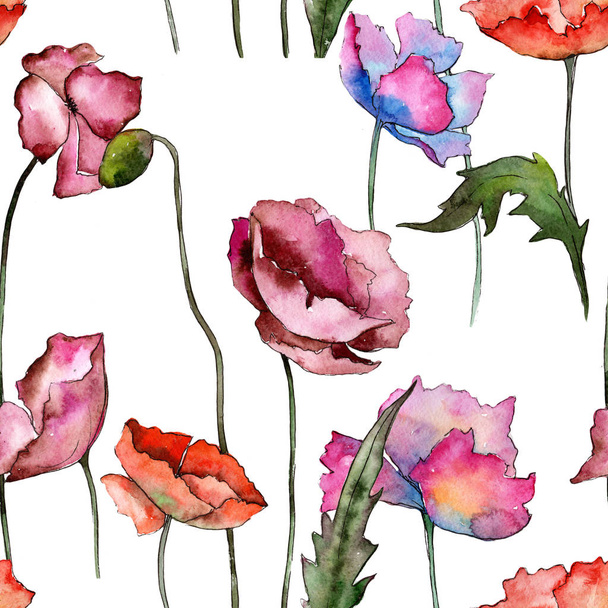 Wildflower poppy flower pattern in a watercolor style. - Фото, зображення
