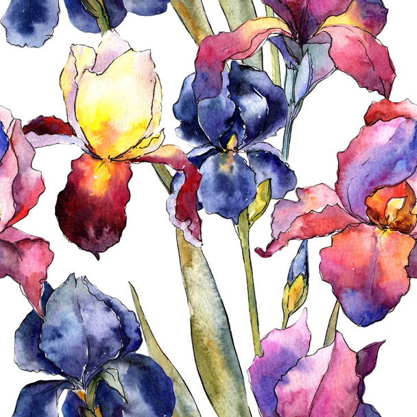 Wildflower colorful iris flower pattern in a watercolor style. - Foto, Imagem