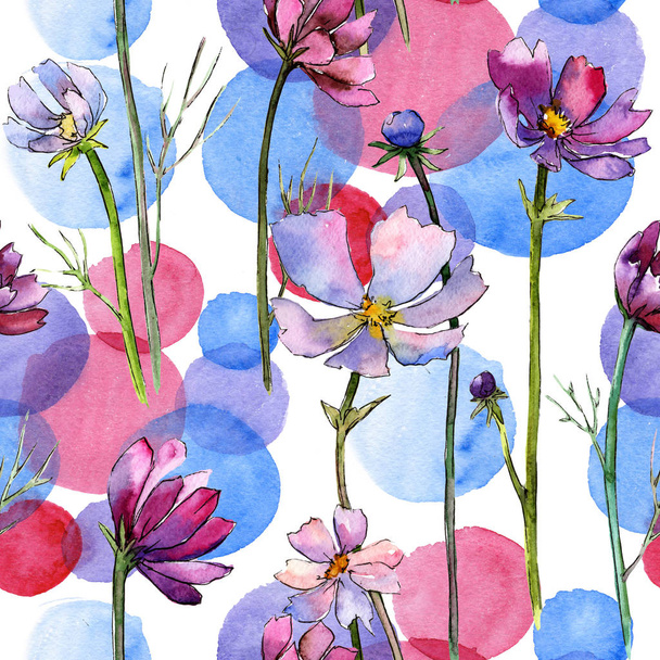 Wildflower aster flower pattern in a watercolor style. - Photo, Image