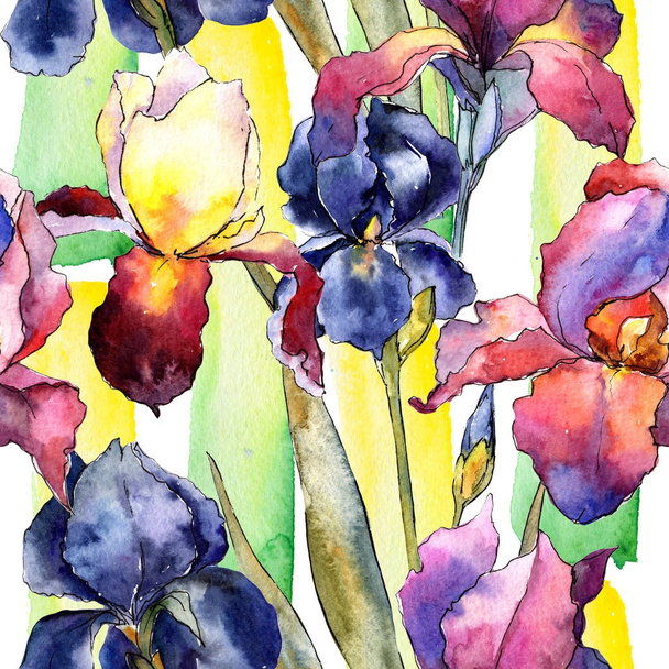 Wildflower colorful iris flower pattern in a watercolor style. - Fotó, kép