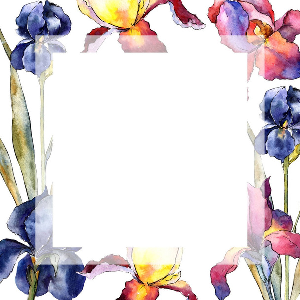 Wildflower colorful iris flower frame in a watercolor style. - Photo, Image