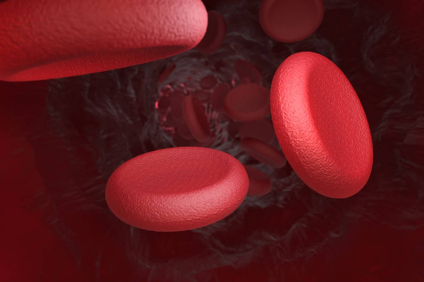 静脈の赤血球 - 写真・画像