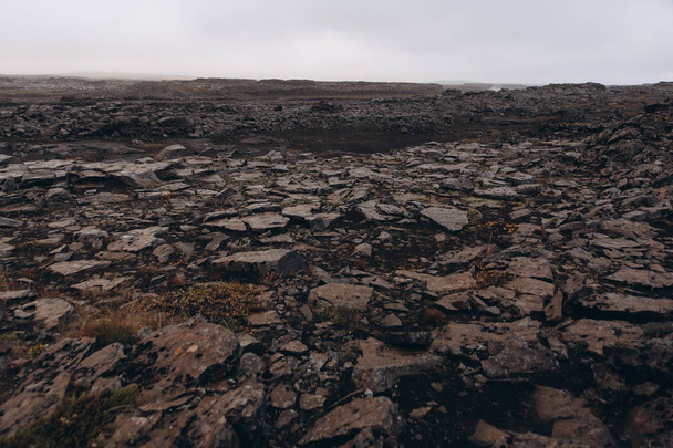 コケ覆われた溶岩フィールド - 写真・画像