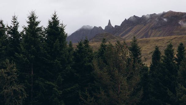 landscape of Icelandic mountains - Фото, зображення