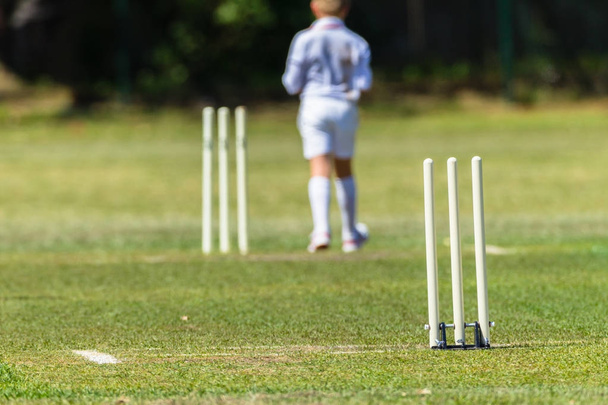 Kriketti Wickets Pitch Junior Bowler
 - Valokuva, kuva