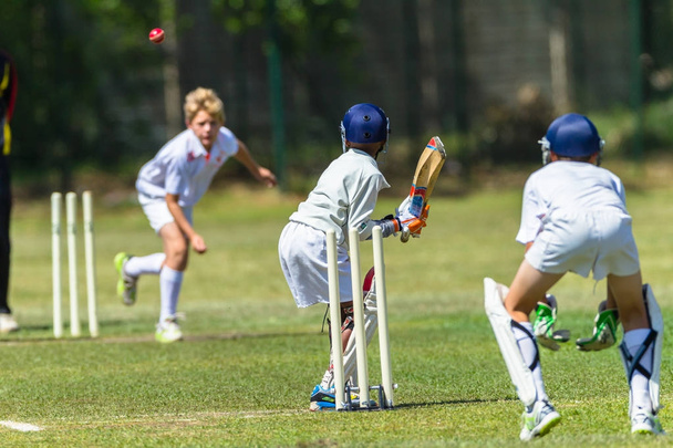 Cricket Juniors Jogo de Ação
 - Foto, Imagem