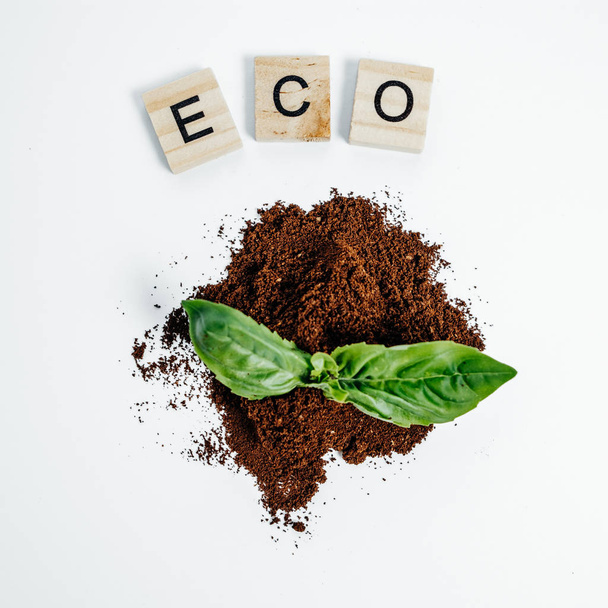 Eco Concept Green sprout in eart on the White Background Top Vie - 写真・画像
