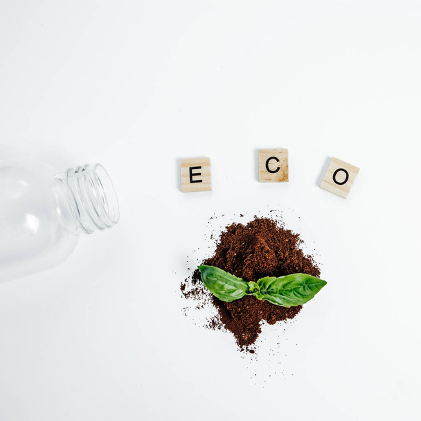 Eco Concept Green sprout in eart plastic bottle on the White Bac - Foto, Imagem