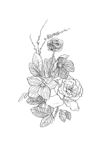 Vintage botanical illustration flower. Flower concept. Botanica concept. Vector design. - Vektor, Bild