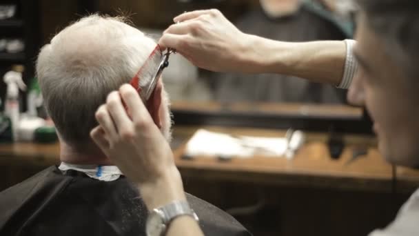 Active retired elderly old bearded senior man aged with graying hair in barber shop hairstylist  - Imágenes, Vídeo