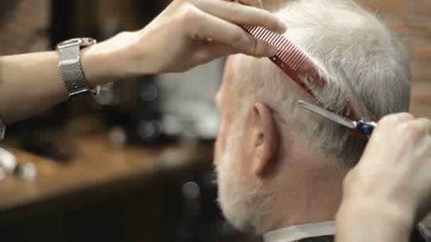 Active retired elderly old bearded senior man aged with graying hair in barber shop hairstylist  - Filmmaterial, Video