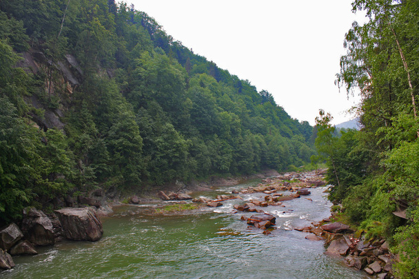 Mountain river Prut in Yaremche, Ukraine - Photo, Image