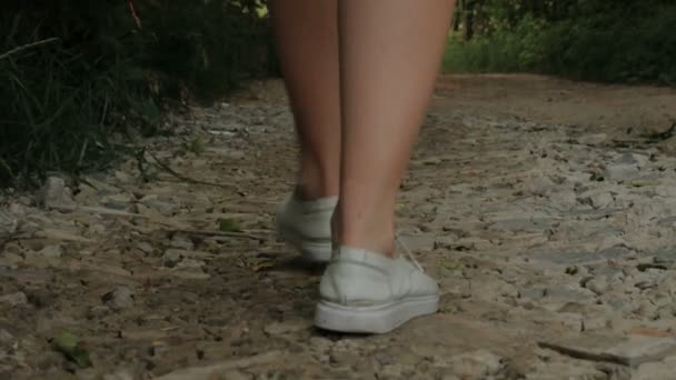 die Beine einer Frau geht, geht von der Kamera auf einer steinigen Straße in einem Park oder Wald. Reise, Reise, Urlaub, Tourismuskonzept. - Filmmaterial, Video