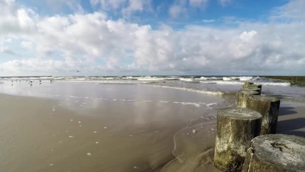 Surf of the Baltic Sea in Poland, camera in the surf - Footage, Video