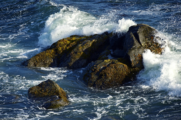 Скелястий берег океану
 - Фото, зображення