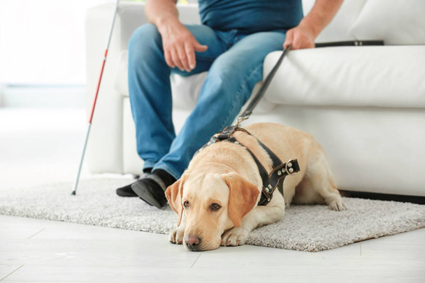 Blind man with guide dog  - Foto, Bild
