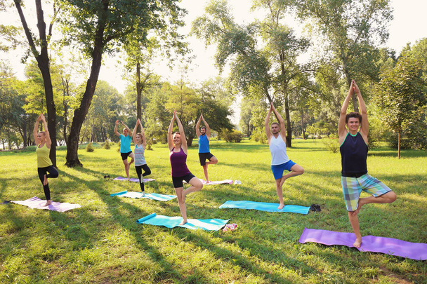 Group of young people practicing yoga in park - Φωτογραφία, εικόνα