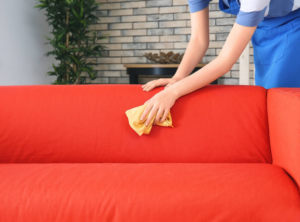 Woman cleaning couch  - Foto, imagen