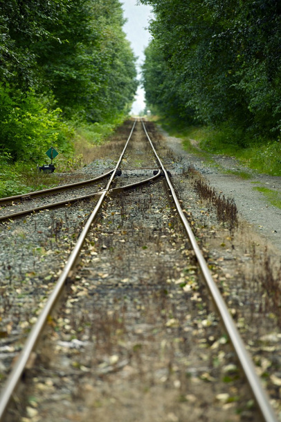 Egyesülő vasúti síneket - Fotó, kép