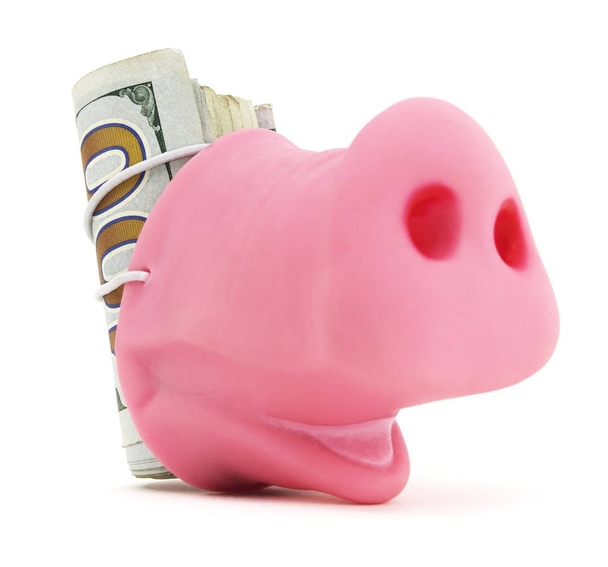 Pig Snout With Cash - Photo, image